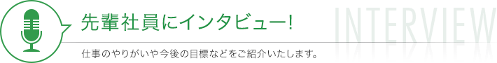 先輩社員にインタビュー